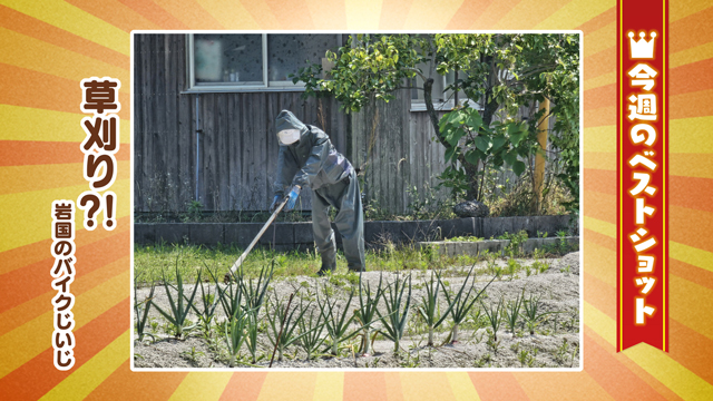 2025年6月2日(月)～6月6日(金)