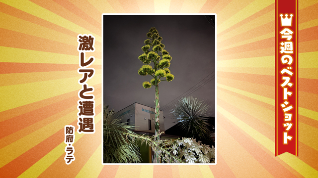 2025年6月9日(月)～6月13日(金)