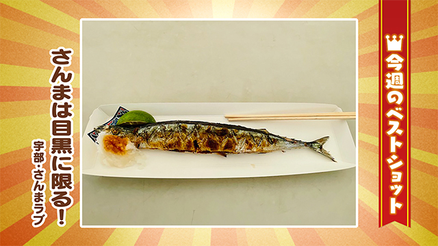 2025年10月14日(火)~10月17日(金)