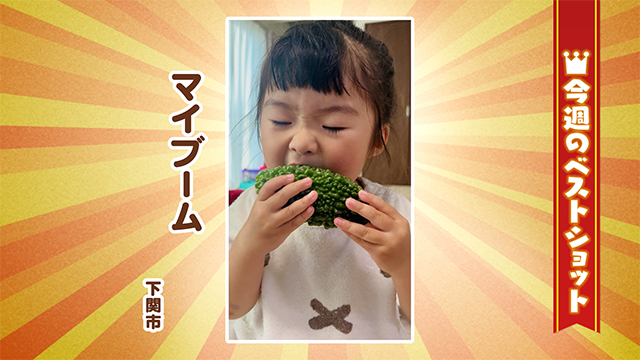 2025年10月20日(月)~10月24日(金)