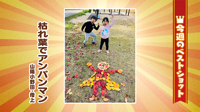 2025年11月25日(火)～11月28日(金)