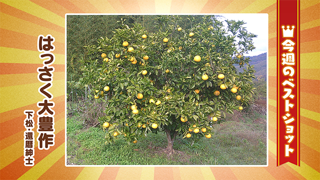 2025年12月01日(火)~12月05日(金)