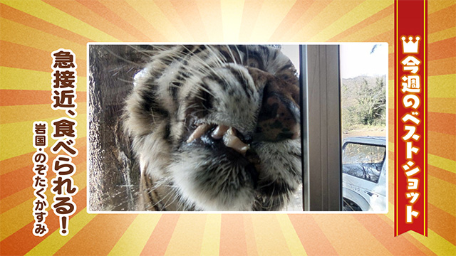 2025年12月08日(月)~12月12日(金)