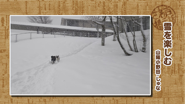 2026年1月19日(火)~23日(金)