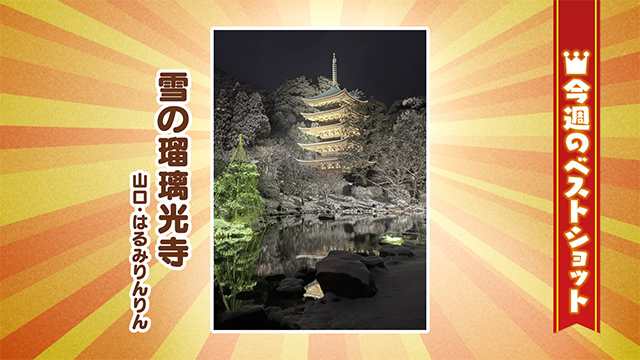 2026年2月9日(月)~13日(金)