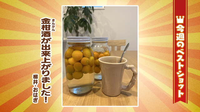 2026年2月16日(月)~20日(金)