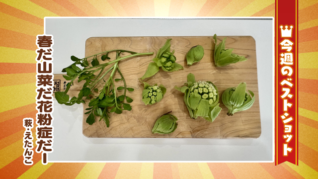 2026年3月2日(月)~6日(金)