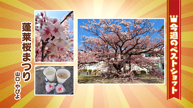 2026年3月16(月)～19日(金)