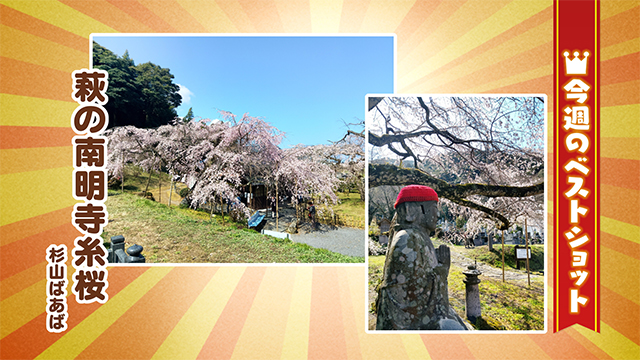 2026年3月23(月)～27日(金)