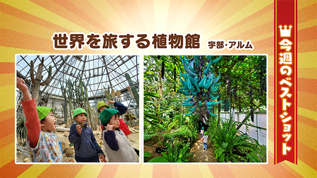 2026年3月30(月)～4月03日(金)