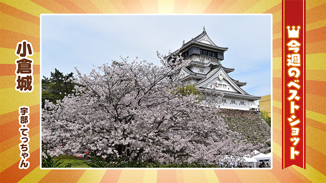 2026年4月06(月)~4月10日(金)