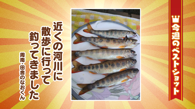 2026年4月13(月)～4月17日(金)