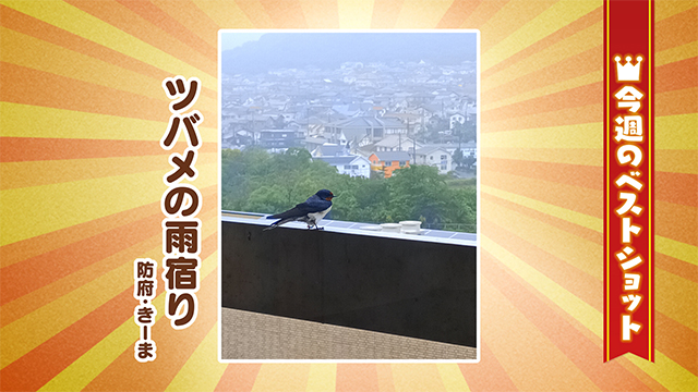 2026年5月25(月)～5月29日(金)