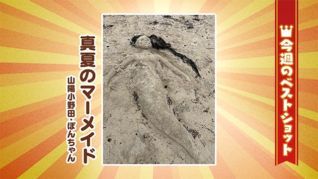 2026年7月27(月)~7月31日(金)