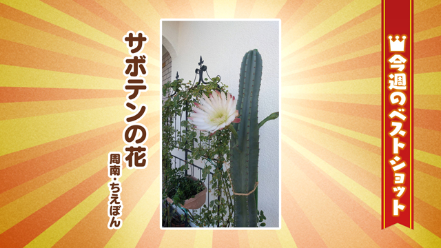 2026年8月31(月)~9月4日(金)