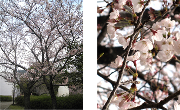 suizu_080403_1.jpg
