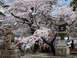 suizu_080408_1.jpg