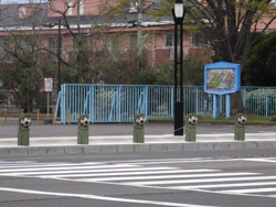 suizu_080408_4.jpg