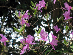 suizu_080421.jpg