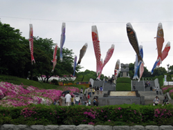suizu_080508_2.jpg