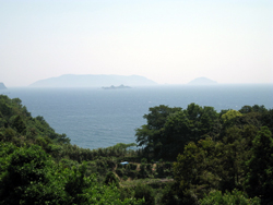suizu_080521.jpg
