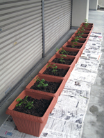 suizu_080526_2.jpg