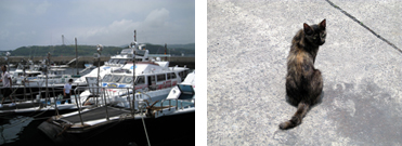 suizu_080619_2-3.jpg