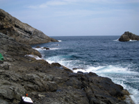 suizu_080619_4.jpg