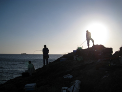 suizu_080619_6.jpg