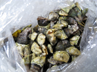 suizu_080620_6.jpg
