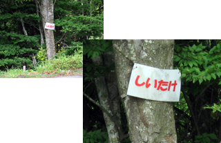 suizu_080705_4.jpg