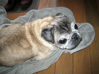 suizu_110408_4.jpg