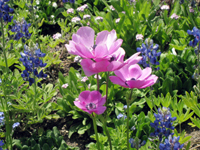 suizu_110517_1.jpg