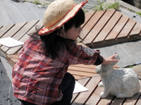 suizu_110517_2.jpg