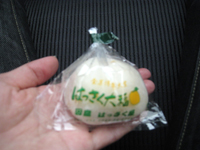 suizu_110608_4.jpg