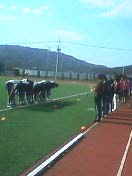 soccer_071105_3.jpg