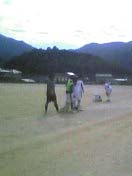 soccer_071105_8.jpg
