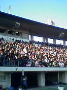 soccer_080105_3.jpg