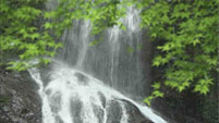 �u�ӂ邳�Ƃ̐��������v�L�����y�[��